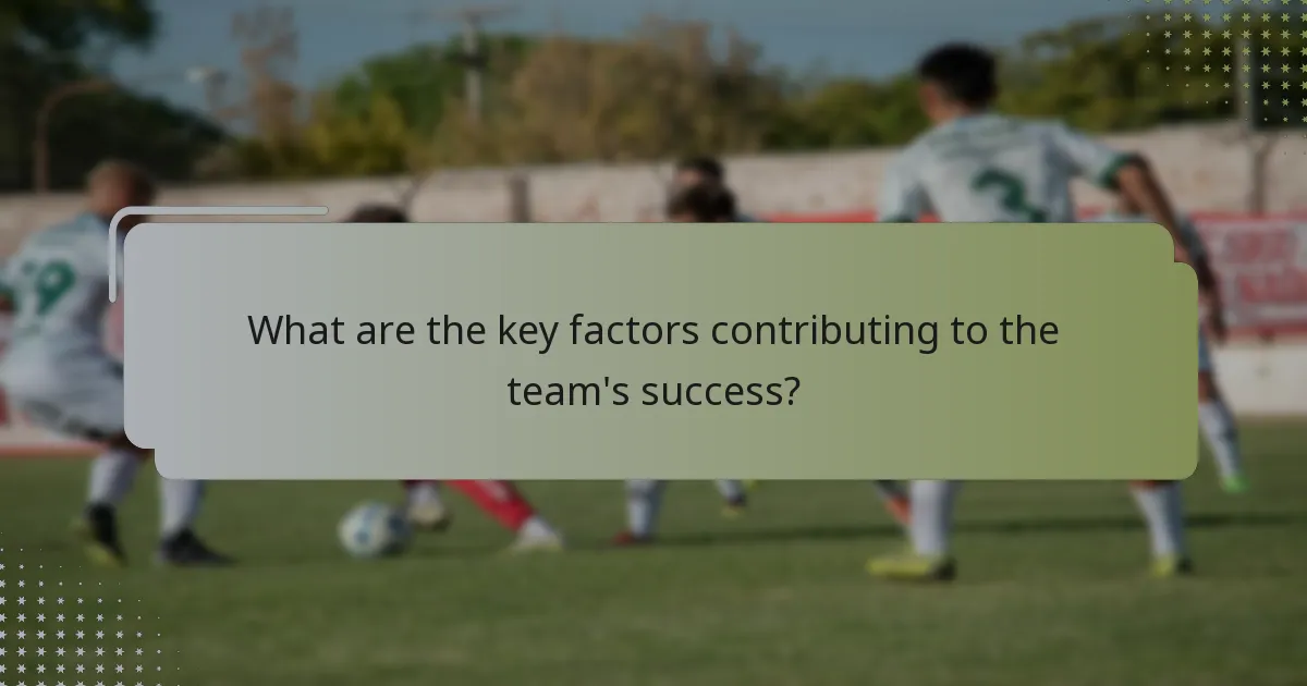 What are the key factors contributing to the team's success?
