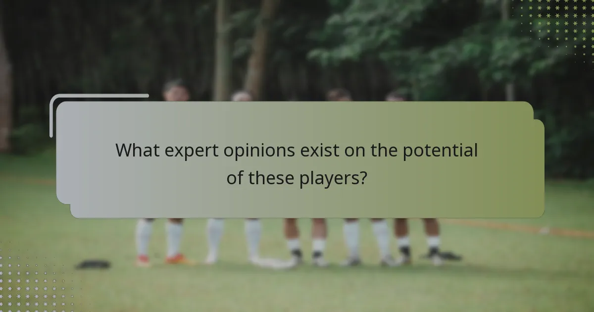 What expert opinions exist on the potential of these players?
